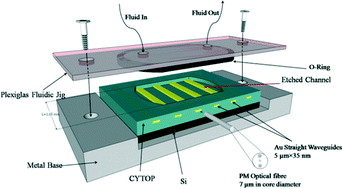 Graphical abstract: Detection of leukemia markers using long-range surface plasmon waveguides functionalized with Protein G