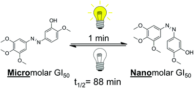 Graphical abstract: Photoswitchable anticancer activity via trans–cis isomerization of a combretastatin A-4 analog