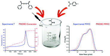 Graphical abstract: Simulation of radical polymerization of methyl methacrylate at room temperature using a tertiary amine/BPO initiating system