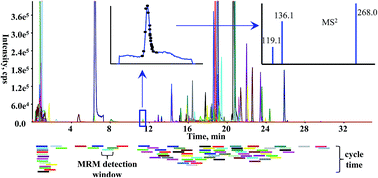 Graphical abstract: Potential of hyphenated ultra-high performance liquid chromatography-scheduled multiple reaction monitoring algorithm for large-scale quantitative analysis of traditional Chinese medicines