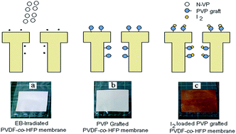 Graphical abstract: Enhancing antimicrobial properties of poly(vinylidene fluoride)/hexafluoropropylene copolymer membrane by electron beam induced grafting of N-vinyl-2-pyrrolidone and iodine immobilization