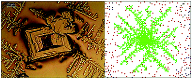 Graphical abstract: Growth kinetics of NaCl crystals in a drying drop of gelatin: transition from faceted to dendritic growth