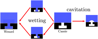 Graphical abstract: Wetting and cavitation pathways on nanodecorated surfaces