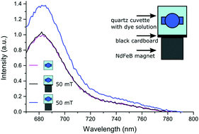 Graphical abstract: Comment on “Magnetic-field-enabled resolution enhancement in super-resolution imaging” by M. Zhang et al., Phys. Chem. Chem. Phys., 2015, 17, 6722–6727