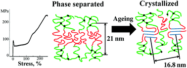 Graphical abstract: The role of fast and slow processes in the formation of structure and properties of thermoplastic polyurethanes