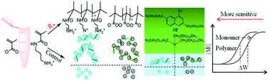 Graphical abstract: Label-free polymerization amplified potentiometric sensing platform for radical reactions using polyion sensitive membrane electrodes as transducers