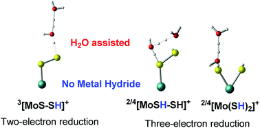 Graphical abstract: A mechanism study on the hydrogen evolution reaction catalyzed by molybdenum disulfide complexes