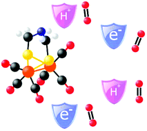 Graphical abstract: The reactivity of molecular oxygen and reactive oxygen species with [FeFe] hydrogenase biomimetics: reversibility and the role of the second coordination sphere