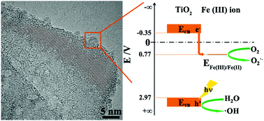 Graphical abstract: Enhanced photocatalytic activity of anatase by the rational modification of the {001} facets with Fe(iii) ions