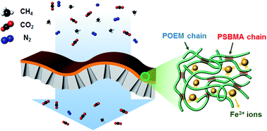 Graphical abstract: Ultra-selective ferric ion-complexed membranes composed of water-based zwitterionic comb copolymers