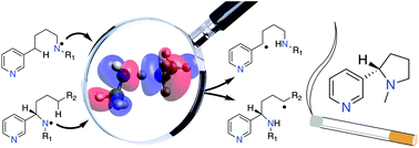 Graphical abstract: Role of substituents in the Hofmann–Löffler–Freytag reaction. A quantum-chemical case study on nicotine synthesis
