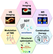 Graphical abstract: Advanced biotechnology-assisted precise sonodynamic therapy