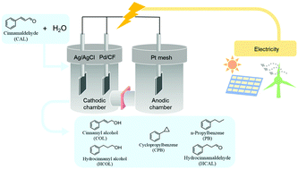 Graphical abstract: Efficient electrocatalytic hydrogenation of cinnamaldehyde to value-added chemicals