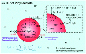 Graphical abstract: Synthesis of micrometer-sized poly(vinyl acetate) particles through microsuspension iodine transfer polymerization: effect of iodine species in a water medium