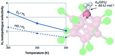 Graphical abstract: B12X11(H2)−: exploring the limits of isotopologue selectivity of hydrogen adsorption