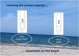Graphical abstract: On site separation of inorganic forms of thallium and arsenic in sea water systems followed by ICP-MS determination
