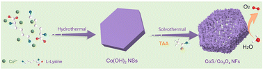 Graphical abstract: l-Lysine-induced green synthesis of CoS/Co3O4 nanoframes for efficient electrocatalytic oxygen evolution