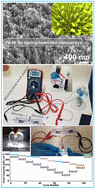 Graphical abstract: Multifunctional metal selenide-based materials synthesized via a one-pot solvothermal approach for electrochemical energy storage and conversion applications