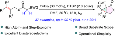 Graphical abstract: Cu(ii)-mediated direct intramolecular cyclopropanation of distal olefinic acetate: access to cyclopropane-fused γ-lactones