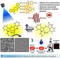 Graphical abstract: Visible light-induced photoisomerization of indole–oxindole constructs: molecular disassembly and ROS-mediated apoptosis