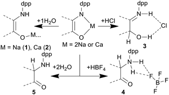 Graphical abstract: Partial and complete hydrolysis of metal complexes based on monoiminoacenaphthene-1-ones