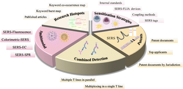 Graphical abstract: In vitro diagnosis based on SERS–LFIA: research hotspots, increase sensitivities, combined detection, multimodal detection and related patents