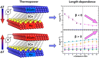 Graphical abstract: Length-dependent thermopower of self-assembled monolayers of alkanethiolates depends on direction of temperature gradient