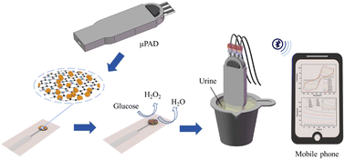 Graphical abstract: A microfluidic paper-based analytical device based on a surface-modified screen-printed electrode Pt-Pd/RGO nanocomposite for glucose detection in urine