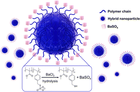 Graphical abstract: Preparation of barium sulfate/polymer hybrid nanoparticles from Bunte salt precursors