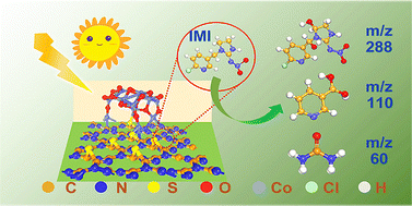 Graphical abstract: Bulk-interface engineering of a CoOx/SCN heterostructure for synergistically enhanced photocatalytic degradation of the imidacloprid insecticide