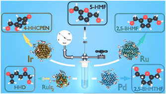 Graphical abstract: Exploring 5-hydroxymethylfurfural hydrogenation pathways using NHC-stabilized water-soluble nanoparticles of various metals and alloys