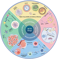 Graphical abstract: Research progress of norcantharidin nanodrugs for tumor treatment