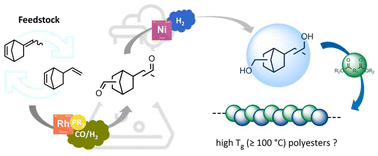 Graphical abstract: 5-Ethylidene-2-norbornene (ENB) and 5-vinyl-2-norbornene (VNB) based alicyclic polyols for the synthesis of polyesters