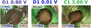 Graphical abstract: Visible lithiation gradients of bulk MoS2 in lithium-ion coin cells