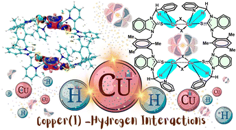 Graphical abstract: Probing the nature of intramolecular (sp3)C–H⋯Cu(i) interactions in organo thione copper(i) cages