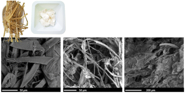 Graphical abstract: Producing dissolving pulp from agricultural waste