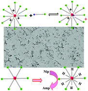 Graphical abstract: Functional dialkylimidazolium-mediated synthesis of silver nanocrystals with sensitive Hg2+-sensing and efficient catalysis