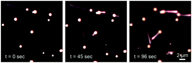 Graphical abstract: A rapid synthesis of high aspect ratio copper nanowires for high-performance transparent conducting films