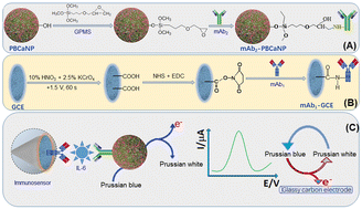 Graphical abstract: Prussian blue-doped CaCO3 nanoparticle-labeled secondary antibodies for electrochemical immunoassay of interleukin-6 with migraine patients