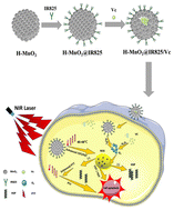 Graphical abstract: Hollow nanosystem-boosting synergistic effects between photothermal therapy and chemodynamic therapy via self-supplied hydrogen peroxide and relieved hypoxia