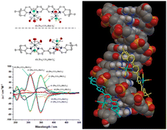 Graphical abstract: The role of stereochemistry in the anticancer activity of Re(i) tricarbonyl complexes