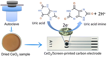 Graphical abstract: A grain-like cerium oxide nanostructure: synthesis and uric acid sensing application