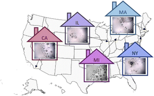 Graphical abstract: Indoor surface chemistry variability: microspectroscopic analysis of deposited particles in dwellings across the United States