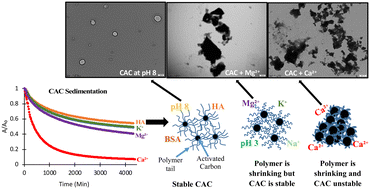 Graphical abstract: Colloidal properties and stability of colloidal activated carbon: effects of aqueous chemistry on sedimentation kinetics