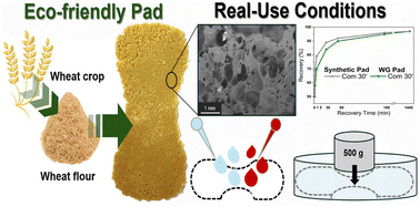 Graphical abstract: Assessing the properties of protein foams as an alternative absorbent core layer in disposable sanitary pads