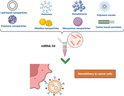 Graphical abstract: Revolutionizing cancer therapy: nanoformulation of miRNA-34 – enhancing delivery and efficacy for various cancer immunotherapies: a review