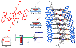 Graphical abstract: Unravelling the origin of strong non-reciprocal chiroptical features in thin films of a chiral diketopyrrolo[3,4-c]pyrrole dye