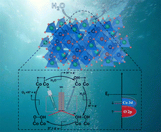 Graphical abstract: Constructing oxygen vacancies by doping Mo into spinel Co3O4 to trigger a fast oxide path mechanism for acidic oxygen evolution reaction