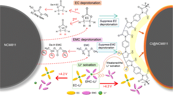 Graphical abstract: Carbonate deprotonation on an Ni-rich layered cathode: development of a new cis-oligomer as an organic coverage