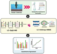 Graphical abstract: Comparative performance evaluation of triple quadrupole tandem mass spectrometry and orbitrap high-resolution mass spectrometry for analysis of antibiotics in creek water impacted by CETP discharge